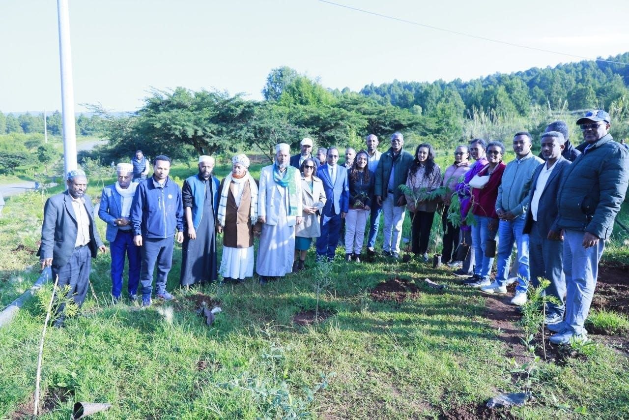 Federal Courts and Affiliated Institutions Seedling Planting Program