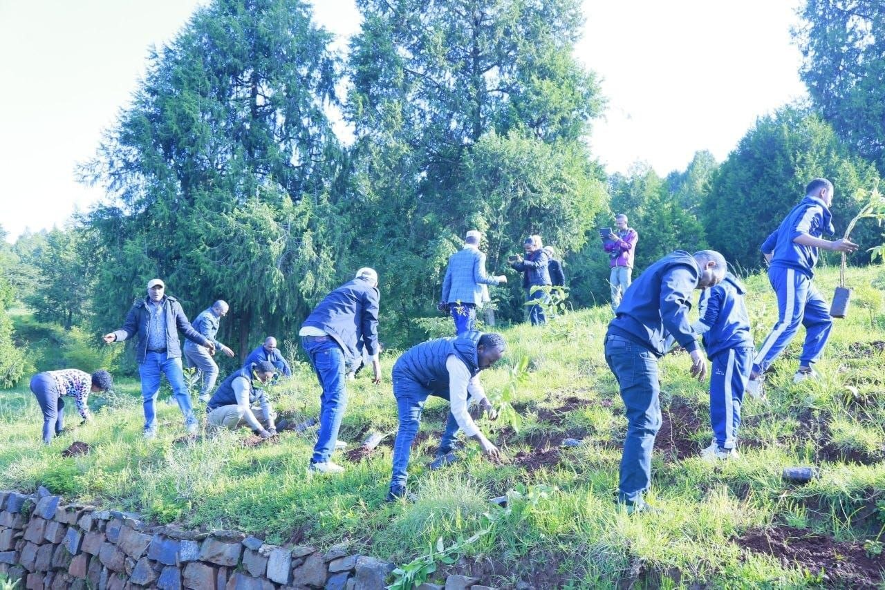Federal Courts and Affiliated Institutions Seedling Planting Program
